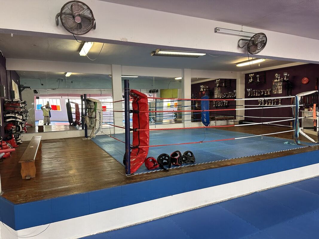 Sala de MMA